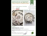 Rolex Cosmograph Daytona White Panda Dial Ceramic Bezel - Full Set  Watch  116500LN